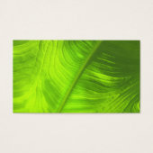 Abstract Elephant Ear Photo w/ Blank Back (Front)