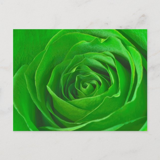 Abstract Emerald Green Rose Center Photograph Postcard (Front)