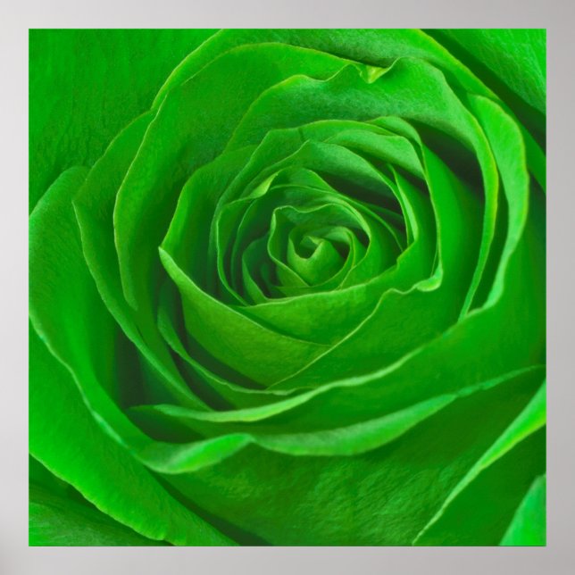 Abstract Emerald Green Rose Center Photograph Poster (Front)