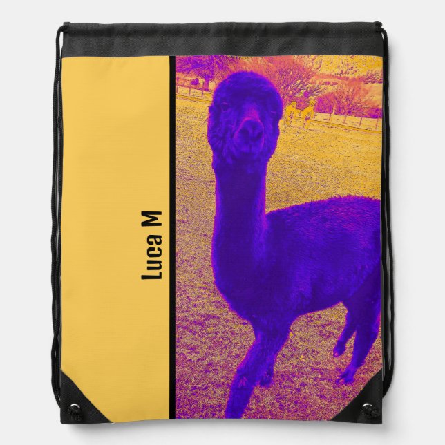 ABSTRACT EYE-CATCHING BRIGHT ALPACA IMAGE CUSTOM DRAWSTRING BAG (Front)