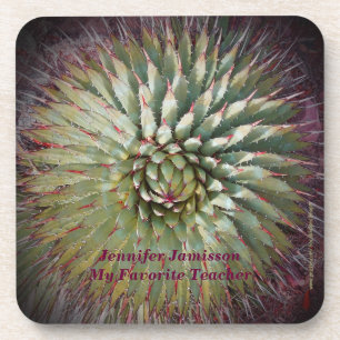 Abstract Favorite Best Teacher Agave Southwest Coaster