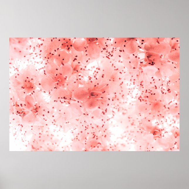 Abstract floral backdrop of pink flowers over past poster (Front)