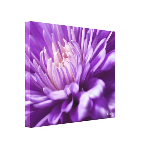 Abstract Floral Canvas Print | Zazzle