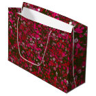  Abstract Floral Flowers