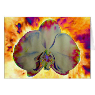Abstract floral tropical orchid painting cards