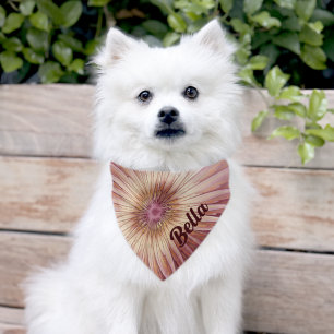 Abstract Flower Fractal Art & Shades of Burgundy Pet Bandana Collar