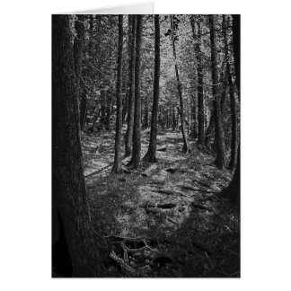 Abstract Forest Cards
