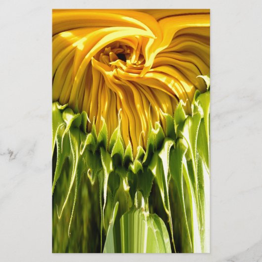 Abstract funky retro Sunflower, scared geometry (Front)