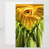 Abstract funky retro Sunflower, scared geometry (Front/Back)