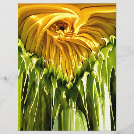 Abstract funky retro Sunflower, scared geometry (Front)