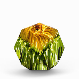 Abstract funky retro Sunflower, scared geometry Award