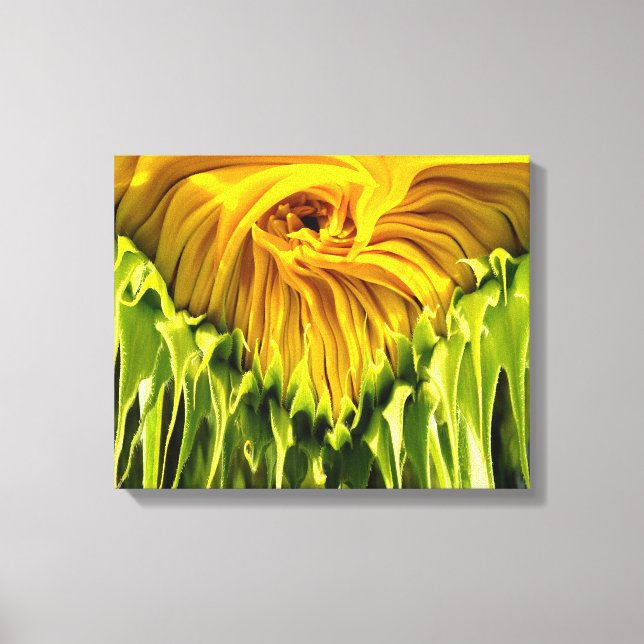 Abstract funky retro Sunflower, scared geometry  Canvas Print (Front)