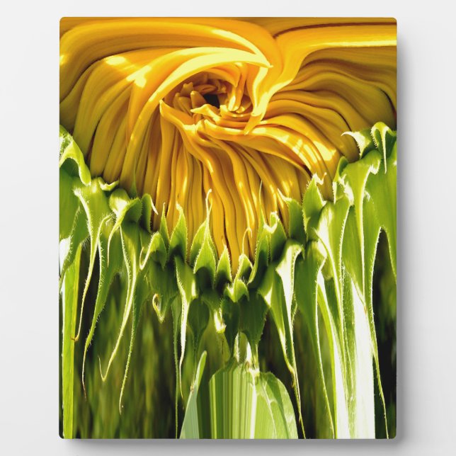 Abstract funky retro Sunflower, scared geometry  Plaque (Front)