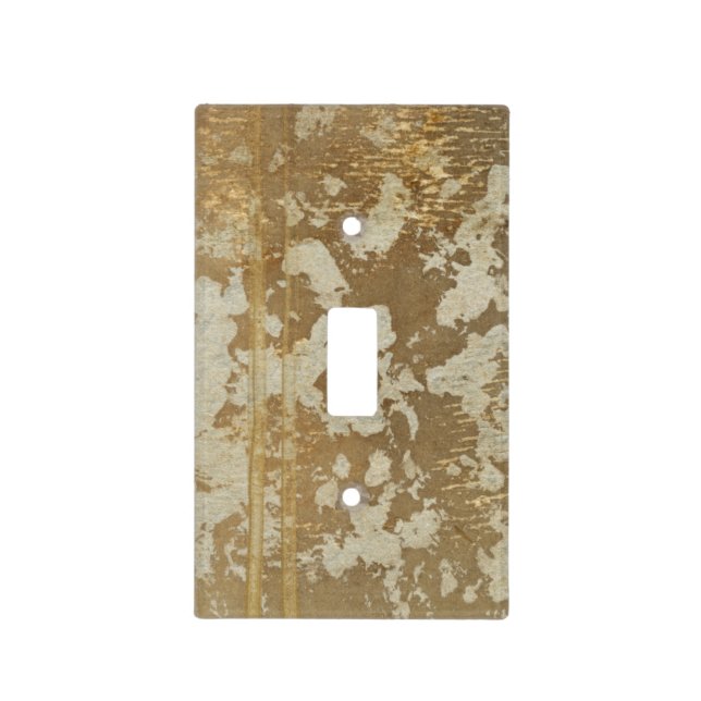 Abstract Gold Painting with Silver Speckles Light Switch Cover (Front)