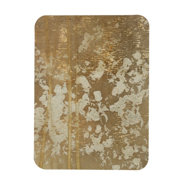 Abstract Gold Painting with Silver Speckles Magnet (Vertical)