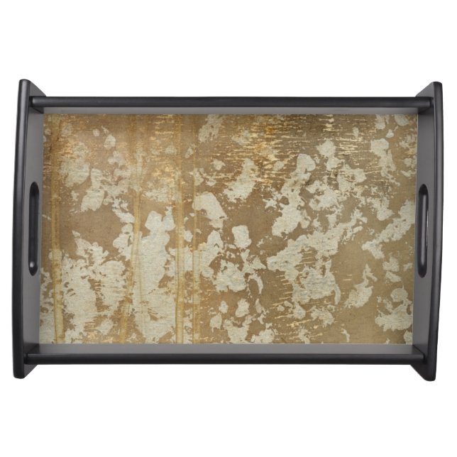 Abstract Gold Painting with Silver Speckles Serving Tray (Front)