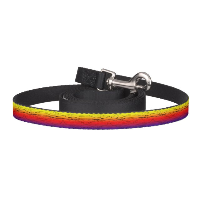 Abstract Gradient  Pet Leash (Hook)