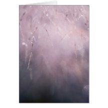 Abstract Grass Dew Drop Blue Brown Background