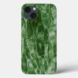 Abstract Green Water Ripples iPhone 13 Case
