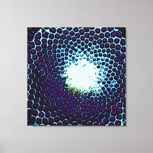 Abstract Honeycomb Design blue and purple Canvas Print (Front)