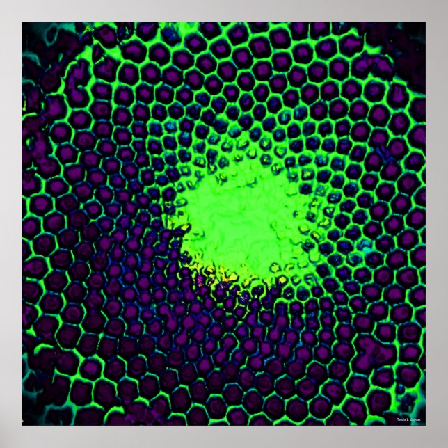 Abstract Honeycomb Design green and purple Poster (Front)