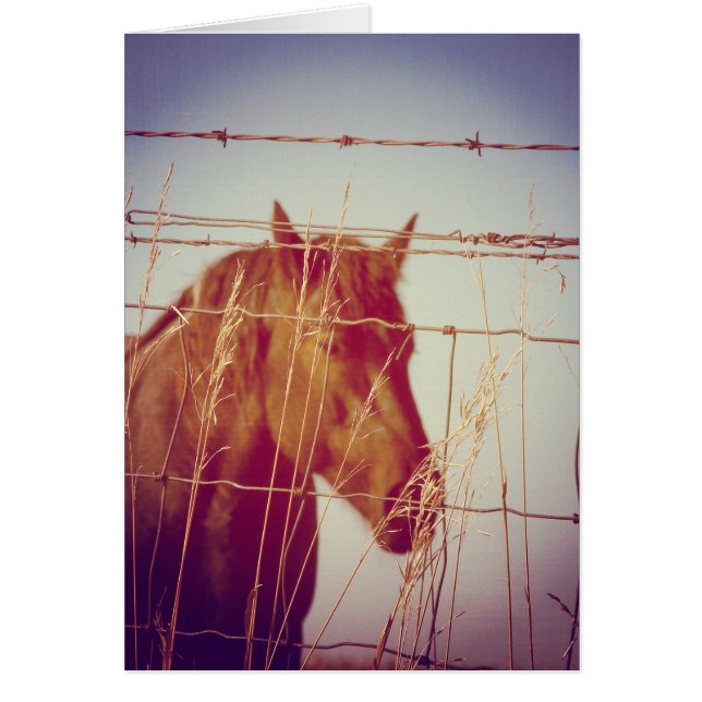 Abstract Horse Behind the Fence Cards (Front)