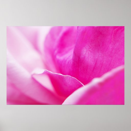 Abstract Hot Pink Flower Poster