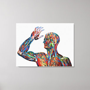 abstract human anatomy man veins arteries art  canvas print