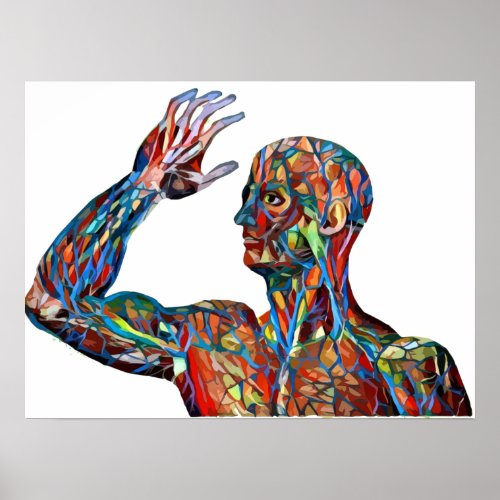 abstract human anatomy man veins arteries art poster
