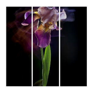 Abstract Iris Flower – Elegant Floral Art