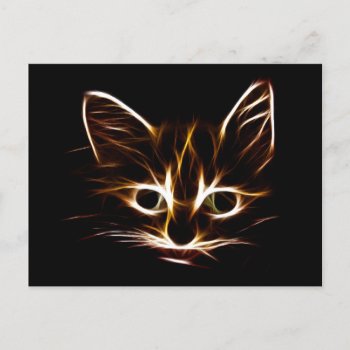 Abstract Kitty Postcard by deemac1 at Zazzle