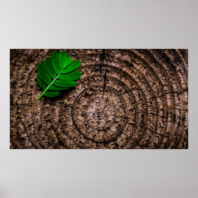 Abstract leaf tree stump green poster (Front)