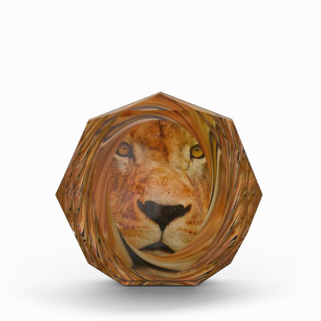 Abstract Lion Safari Art Print Acrylic Award (Front)