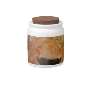 Abstract Lion Safari Art Print Candy Jar