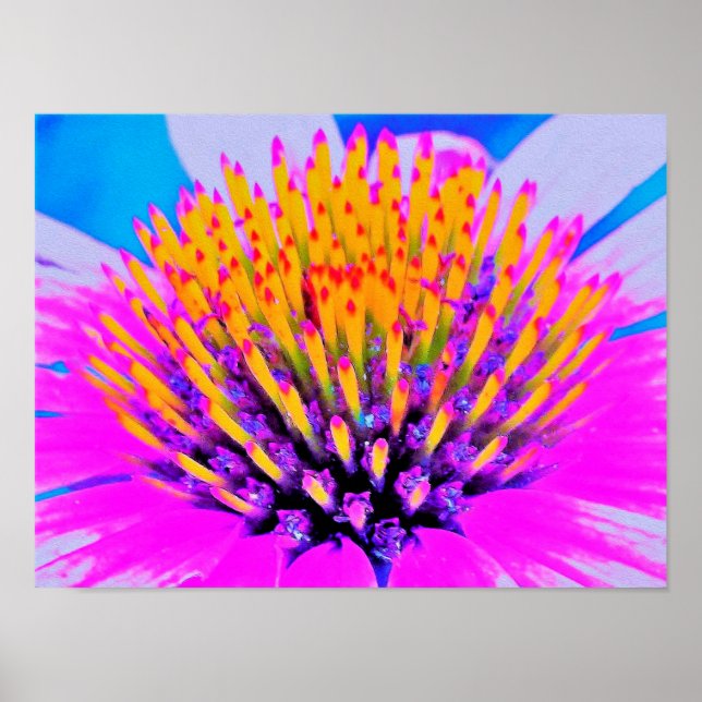 Abstract Macro Hot Pink and Yellow Coneflower Poster (Front)