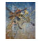 Abstract Melody print