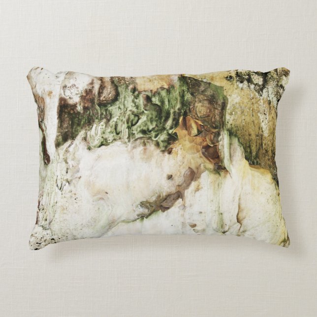 Abstract Nature - Ash Cave Accent Pillow (Front)
