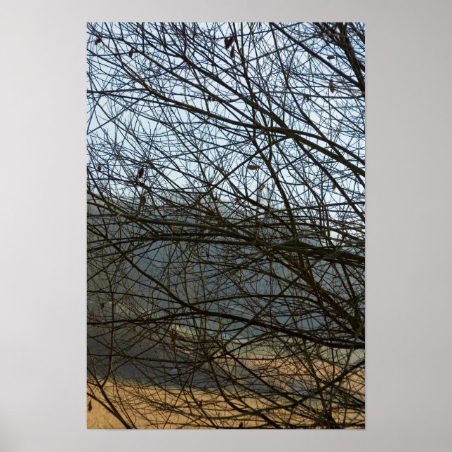 Abstract Nature Poster (Front)