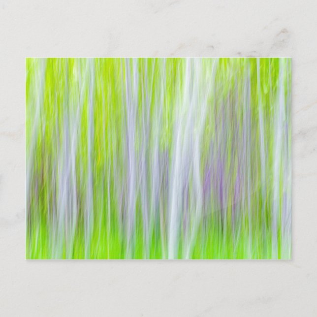 Abstract of Aspen Trees | Yakima River Trail, WA Postcard (Front)