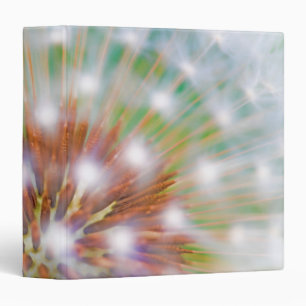 Abstract of dandelion seed head binder
