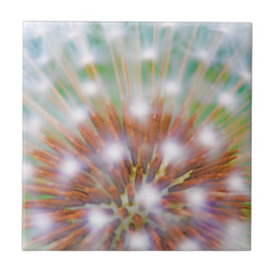 Abstract of dandelion seed head ceramic tile