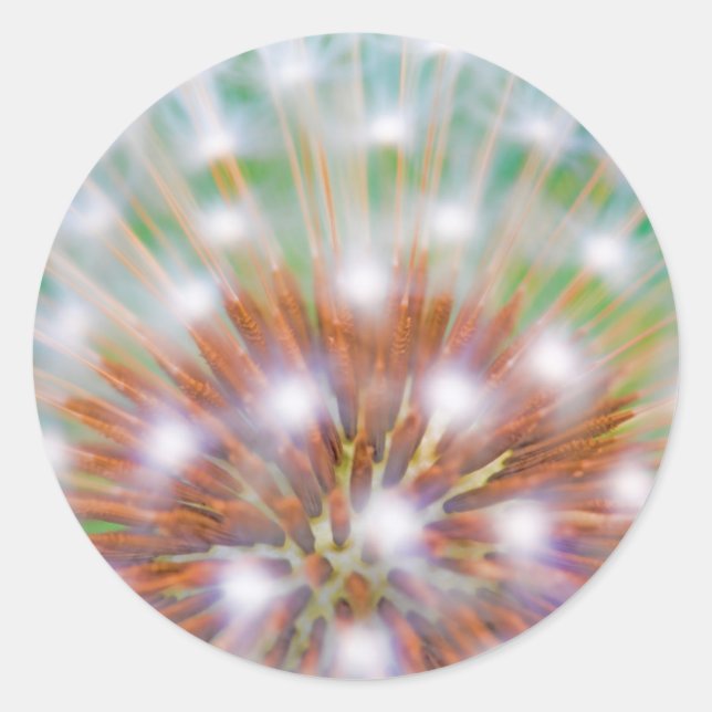 Abstract of dandelion seed head classic round sticker (Front)