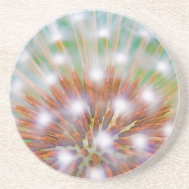 Abstract of dandelion seed head sandstone coaster (Front)