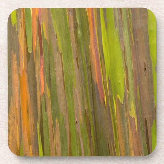 Abstract Of Eucalyptus Bark Beverage Coaster (Front)