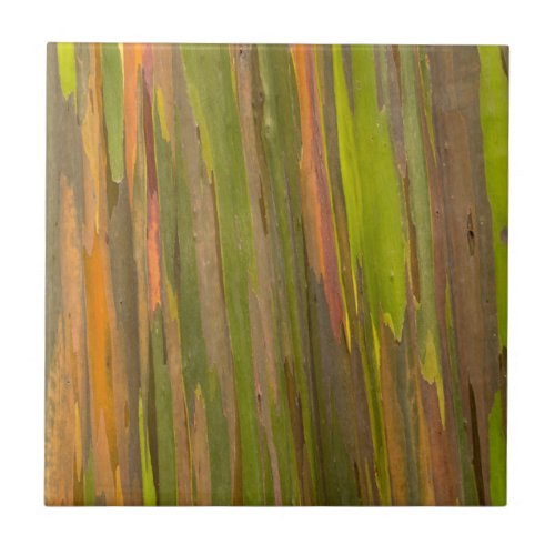Abstract Of Eucalyptus Bark Ceramic Tile
