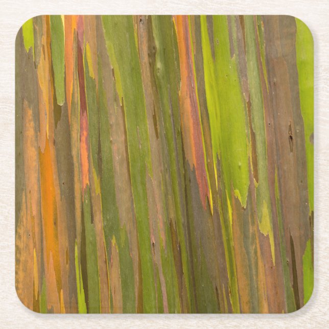 Abstract Of Eucalyptus Bark Square Paper Coaster (Front)