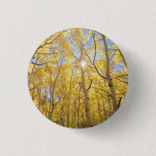 Abstract of Gilia Amidst Wildflowers California Button