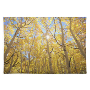 Abstract of Gilia Amidst Wildflowers California Cloth Placemat