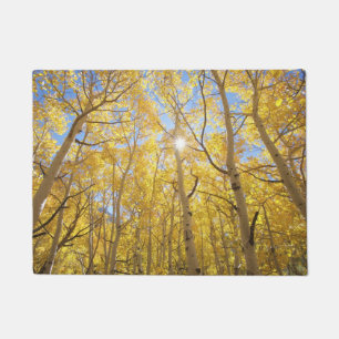 Abstract of Gilia Amidst Wildflowers   California Doormat