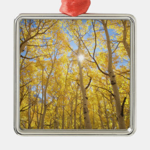 Abstract of Gilia Amidst Wildflowers   California Metal Ornament